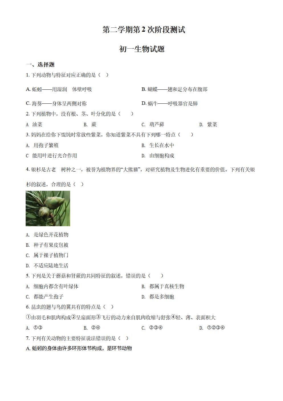 Responsive image