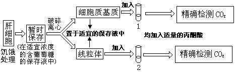 3, 為了驗證高等動物細胞有氧呼吸第二階段發生的場所,有人